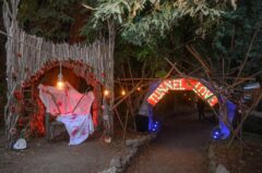 Photos by Michael Troutman (135/365)